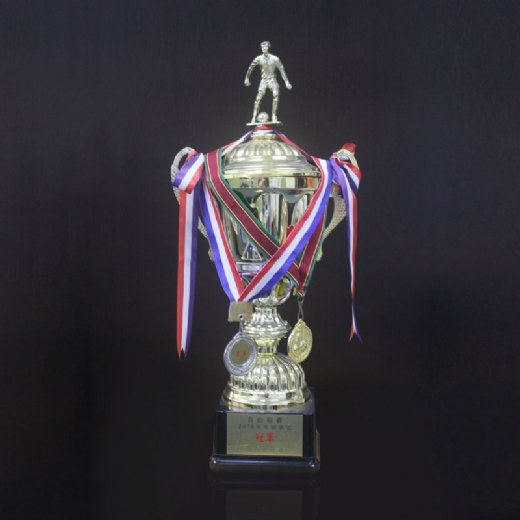 Cup Trophy 13