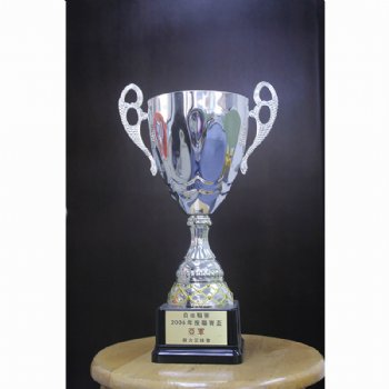 Cup Trophy 2