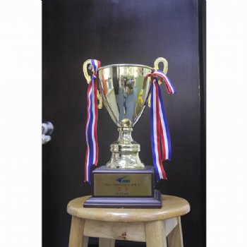 Cup Trophy 3