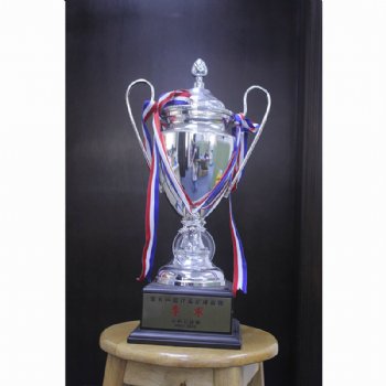 Cup Trophy 6