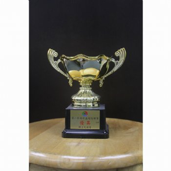 Cup Trophy 7