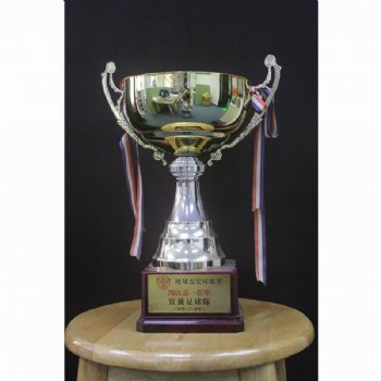 Cup Trophy 8